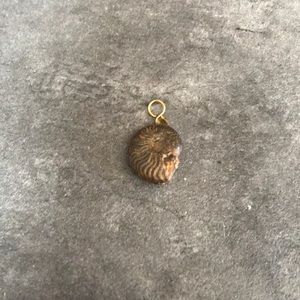 Fossil necklace pendant